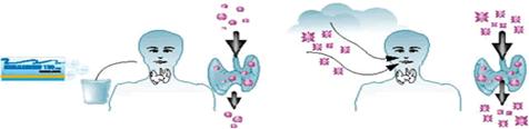 http://www.cli-gravelines.fr/upload/contenu/image/20050711_12_11_05_790.gif
