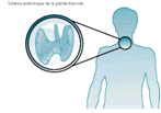 http://www.cli-gravelines.fr/upload/contenu/image/20050711_12_05_44_989.gif